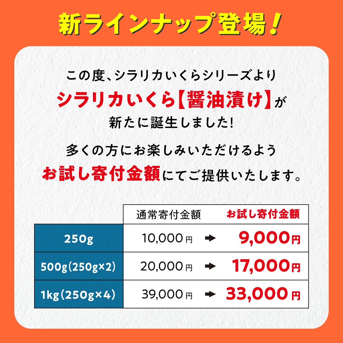 【ふるさと納税】お試し寄付金額 ＼総合1位／ 高評価 4.78 シラリカいくら【醤油漬け】 250g／500g (250g×2) 【内容量が選べる】 北海道産 鮭 ふるさと納税 海鮮 いくら 醤油漬け イクラ 北海道 小分け ランキング 人気