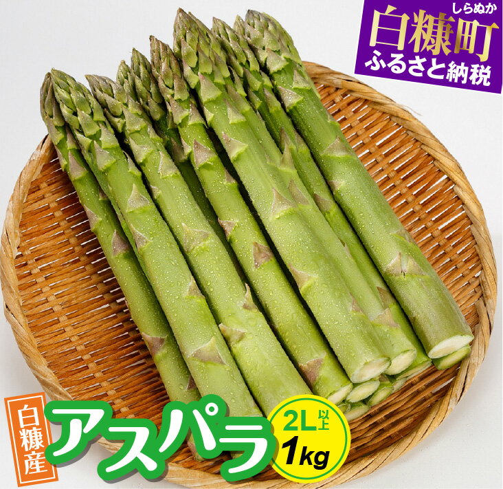 【ふるさと納税】【数量限定】白糠町産アスパラガス【2L以上 1kg】 ふるさと納税 北海道