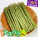 12位! 口コミ数「1件」評価「5」【数量限定】白糠町産アスパラガス【M～L混合1kg】