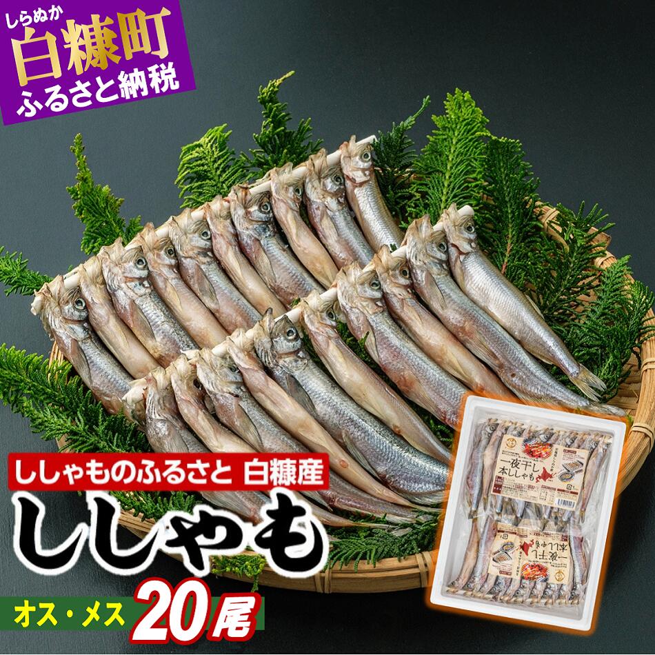 【ふるさと納税】 しらぬか産 ししゃも20尾（オス・メス各10尾） 北海道産 国産 ふるさと納税 魚 ...