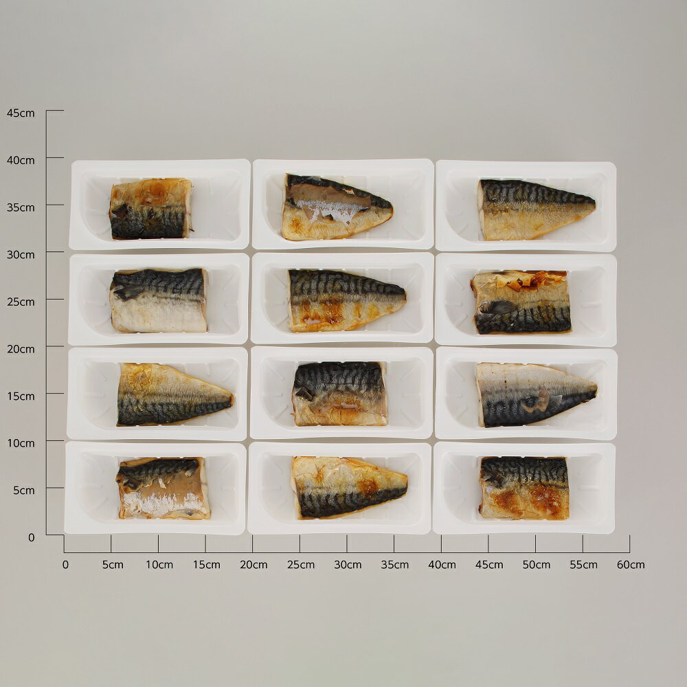 【ふるさと納税】高評価 4.78 レンジで焼さば 12枚入り（フィレ二分割） ふるさと納税 魚 時短料理 手間いらず サバ さば 鯖 惣菜 おかず 切り身 焼サバ 焼きサバ 塩サバ 焼さば 焼鯖 焼き鯖 塩鯖 焼き魚 魚介 海鮮 人気 ふるさと 北海道 白糠町