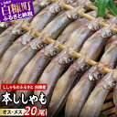 一般に流通している「ししゃも」と呼ばれる魚の9割以上は、「キャペリン」や「カラフトシシャモ」という似た魚です。 本物のししゃもは世界でも北海道の太平洋沿岸にしか生息しない日本固有の貴重種です。 回遊魚のため北海道西部から東部海域に回遊し、十勝沖から徐々に脂が抜け、卵が熟すことから、白糠沖で獲れるししゃもは最も美味しいとされています。 【買い付けはわずか2週間！】 漁期は10月末からの僅か1ヶ月。 ししゃもは漁が始まって直ぐの魚体は脂が乗っていて卵の熟成度も悪いことから、漁が開始した後、1週間は買い付けをしません。 漁期後半は婚姻色の黒色になることから、中2週間の一番良い時期に買い付けをしています。 【製法】 ししゃもを干す時間は長めです。 干す時間が長いと見た目はふっくら感がなく小さく見えます。 しかし、この乾燥の度合が旨味を凝縮し、美味しさを作り出しています。 こんな『こだわり』抜いたししゃもをご堪能ください。 鮭をはじめ、凶漁が続いている漁業ですが、ししゃももここ数年は小ぶりなものが目立ち、漁獲量も少なくなっております。 なるべく小さなものは省き商品にしていますが、全体的に小さなことからそれも難しい状況です。 今までイメージしていたししゃもよりも小さなものがお届けされるかもしれませんが、自然のものですので、ご理解賜りますようお願いいたします。 ご贈答 ※グリーティングカードを同梱します。 ※お届け先と寄付者様のお名前が異なる場合、贈り主は寄付者様のお名前でお届けします ※6月16日以外の配送日のご指定はいただけませんのでご了承ください 名称干しししゃも 産地名北海道白糠町産 原材料名ししゃも（北海道白糠産）、食塩 内容量 ■20尾（オスメス各10尾） 賞味期限出荷日から冷凍で60日 保存方法要冷凍（-18度以下） 配送方法冷凍 製造者株式会社イミュー北海道白糠郡白糠町庶路2丁目4-31 注意事項- ・ふるさと納税よくある質問はこちら ・寄附申込みのキャンセル、返礼品の変更・返品はできません。あらかじめご了承ください。 季節のご挨拶に お正月 賀正 新年 新春 初売 年賀 成人式 成人祝 節分 バレンタイン ひな祭り 卒業式卒業祝い 入学式 入学祝い お花見 ゴールデンウィーク GW こどもの日 端午の節句 お母さん ママ お父さん パパ 七夕初盆 お盆 御中元 お中元 中元 お彼岸 残暑御見舞 残暑見舞い 敬老の日 おじいちゃん 祖父 おばあちゃん 祖母 寒中お見舞い クリスマス お歳暮 御歳暮 ギフト プレゼント 贈り物 セット 日常の贈り物に お見舞い 退院祝い 全快祝い 快気祝い 快気内祝い 御挨拶 ごあいさつ 引越しご挨拶 引っ越し お宮参り御祝 合格祝い 進学内祝い 成人式 御成人御祝 卒業記念品 卒業祝い 御卒業御祝 入学祝い 入学内祝い 小学校 中学校 高校 大学 就職祝い 社会人 幼稚園 入園内祝い 御入園御祝 お祝い 御祝い 内祝い 金婚式御祝 銀婚式御祝 御結婚お祝い ご結婚御祝い 御結婚御祝 結婚祝い 結婚内祝い 結婚式 引き出物 引出物 引き菓子 御出産御祝 ご出産御祝い 出産御祝 出産祝い 出産内祝い 御新築祝 新築御祝 新築内祝い 祝御新築 祝御誕生日 バースデー バースデイ バースディ 七五三御祝 753 初節句御祝 節句 昇進祝い 昇格祝い 就任 お供え 法事 供養 法人・企業様に 開店祝い 開店お祝い 開業祝い 周年記念 異動 栄転 転勤 退職 定年退職 挨拶回り 転職 お餞別 贈答品 景品 コンペ 粗品 手土産 寸志 歓迎 新歓 送迎 歓送迎 新年会 二次会 忘年会 記念品 関連キーワード 人気 ランキング 訳あり 訳アリ わけあり お試し フードロス 食品 グルメ お取り寄せグルメ 大容量 39ショップ買いまわり 39ショップ キャンペーン 買いまわり 買い回り 買い周り マラソンセール SS スーパーセール マラソン ポイントバック ポイントバック祭▼ 関連するお礼の品▼ 本ししゃもオスのみ20尾〜 12,000円~22,000円 ホッキ貝しゃぶしゃぶセット 12,000～20,000円 訳あり本ししゃもオスメス12尾〜 6,500～15,000円