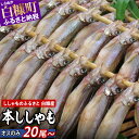 【ふるさと納税】しらぬか産本ししゃも 【数量限定】【オス20尾〜40尾】 オスは濃厚 とっても美味しい! ふるさと納税 ししゃも 北海道産 国産 魚 魚介 グル...