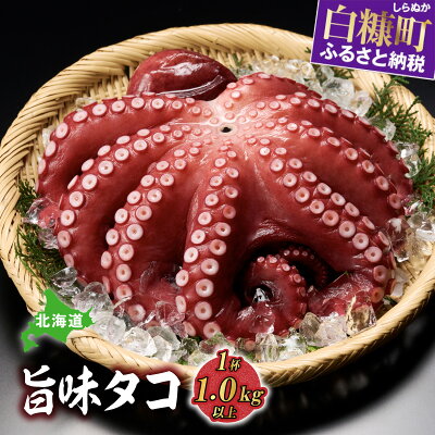 【ふるさと納税】高評価 4.67 ふるさと納税 海鮮 北海道旨味たこ 1.0kg以上×1杯 ゆでダコ 茹でダコ グルメ 食べ物 人気 北海道 白糠町 - Image 1