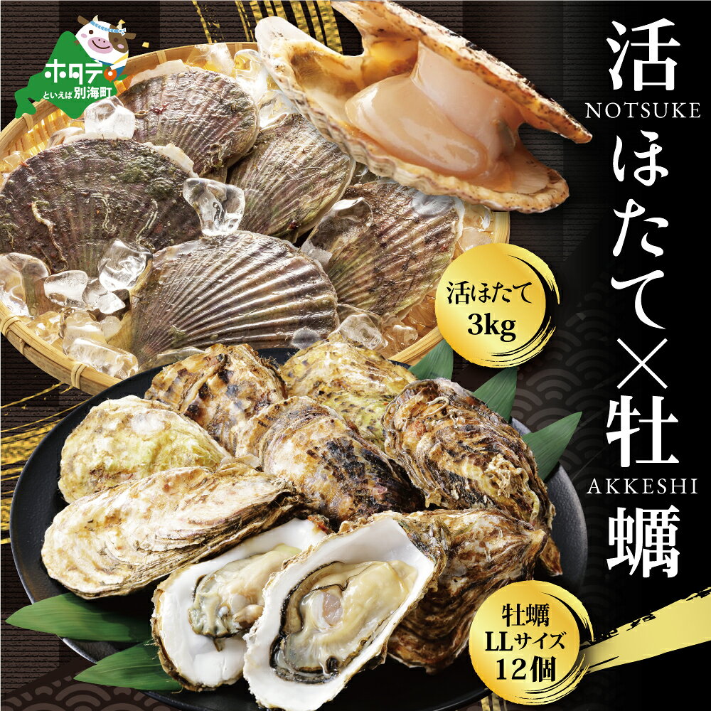 【ふるさと納税】高評価★5.00 北海道 厚岸産 牡蠣 と 野付産 活ほたて 海鮮セット 【 生かき LLサイズ 12個 ＆ 活ホタテ 3kg】 ( ほたて 帆立 ホタテ貝柱 殻付きホタテ 活きほたて 生ほたて 生帆立 生ほたて貝柱 活帆立 天然 福袋 大 大玉 大粒 海鮮 生 牡蠣 カキ 生かき ）のサムネイル