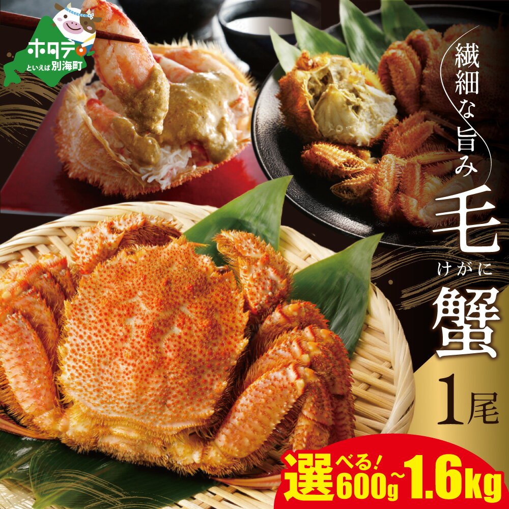【ふるさと納税】【楽天限定】 高�