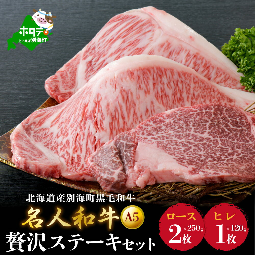 【ふるさと納税】黒毛 牛肉 A5 ステーキ セット 計 620g 北海道 別海町産 黒毛和牛「名人 和牛 」 A5クラス （ロースステーキ250g2枚、ヒレステーキ120g1枚）( ふるさと納税 ステーキ ふるさと納税 ステーキ肉 ふるさと納税 ステーキ ヒレ ふるさと納税 ステーキ 赤身 )のサムネイル