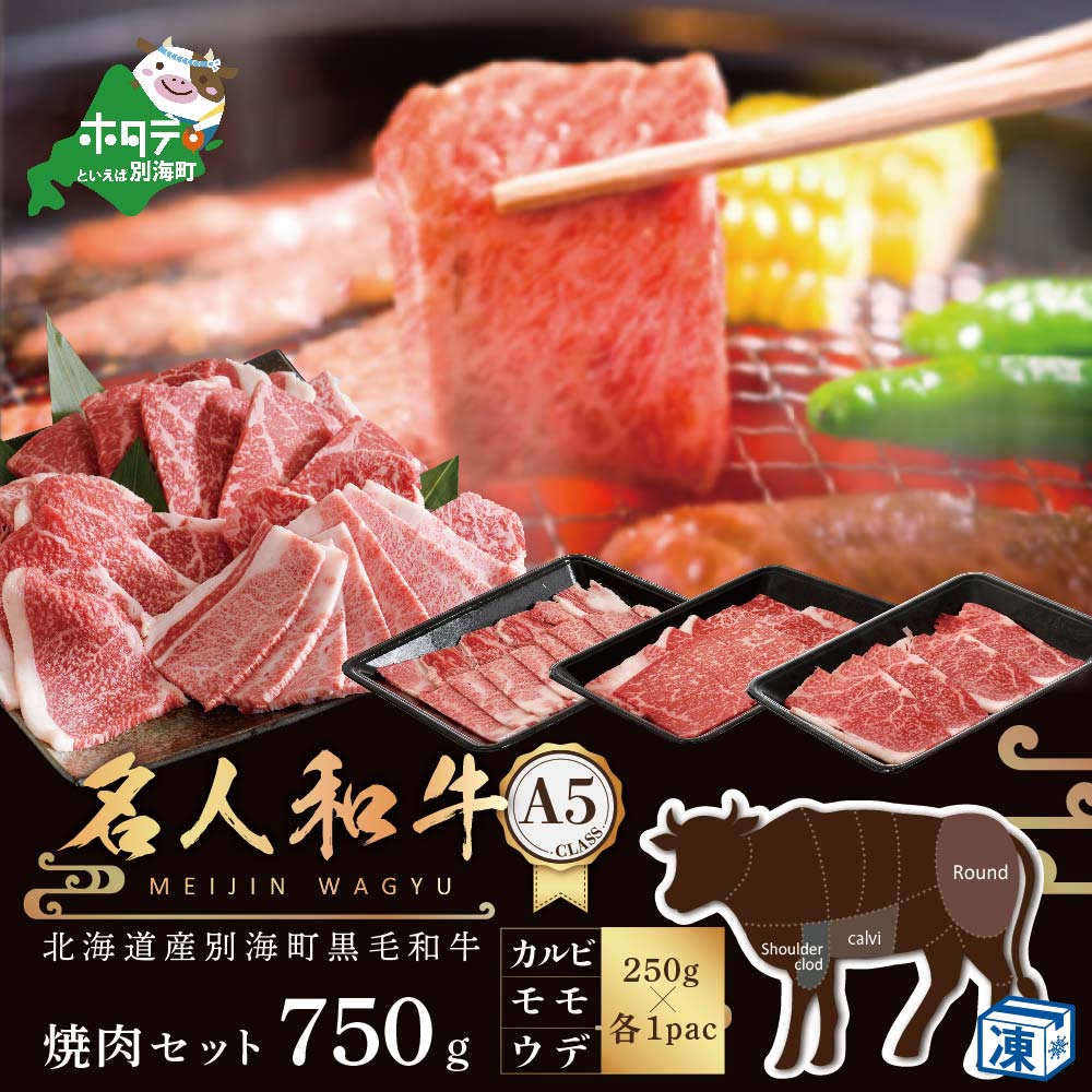 【ふるさと納税】 A5 黒毛和牛 焼肉セット 750g 北海道 別海町産「名人和牛」 A5クラス 焼肉用 3種( 250g×各1P ウデ、モモ、カルビ ）（ ふるさと納税 焼肉 焼き肉 やきにく 焼肉セット 焼き肉セット 国産 国産牛 盛り合わせ 食べ比べ 牛肉 和牛 牛 ふるさと ）のサムネイル
