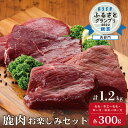 【ふるさと納税】高評価★5 銀賞！2022 ESSE ふるさと グランプリ 鹿肉 1.2kg セット 【 モモ と ロース 各 300g と ホエー漬け モモ と ロース 各300g の セット 】（ ふるさと納税 ジビエ 北海道 ふるさと納税 鹿肉 鹿 ふるさと納税 肉 しか 柔らかさ 訳あり 赤身 肉 ）