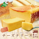 【ふるさと納税】【隔月定期便】 Bistrot Abbesses(ビストロアベス) チーズテリーヌ (500g/本) × 隔月6回【全6回配送】北海道 スイーツ...