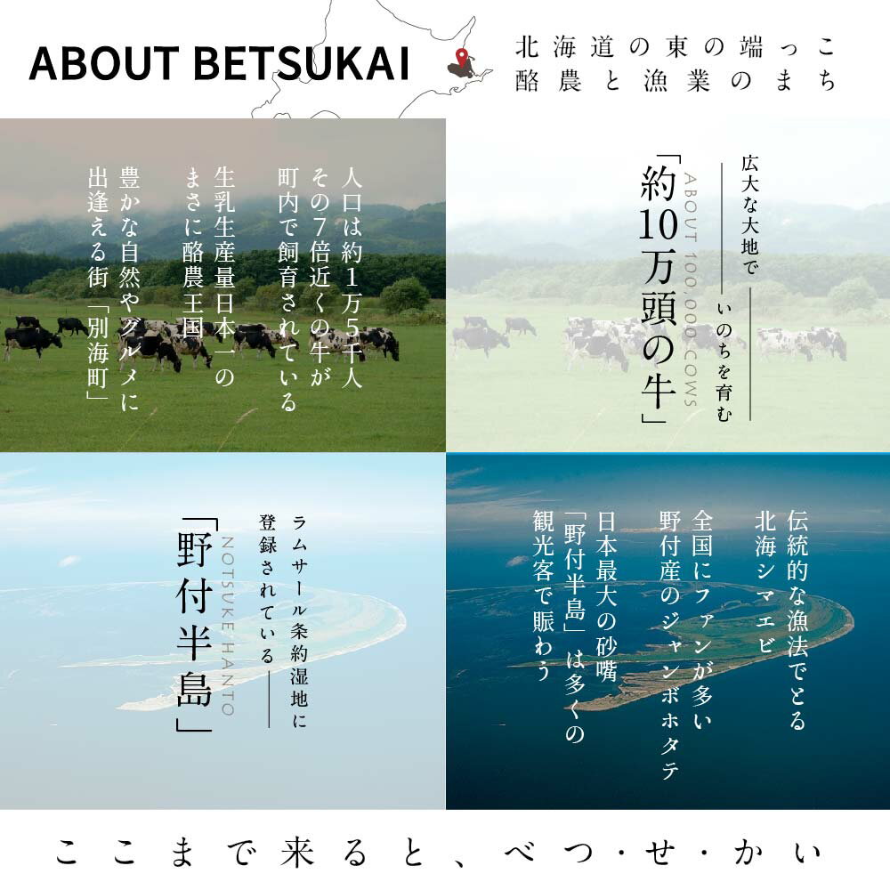 【ふるさと納税】【選べる寄附金額】ひがし北海道 別海町の旅（羽田発着 ANA往復 航空券 + 別海町 宿泊 1泊 北海道 旅行 旅行券 ホテル 旅館 宿泊券 ） 112,000円 182,000円 212,000円その2