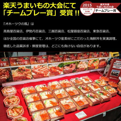 【ふるさと納税】【緊急支援品】高評価★5.0 北海道海鮮丼セット:4人前（ ふるさと納税 海鮮 北海道 ふるさと納税 海鮮丼 北海道 ふるさと納税 魚介 北海道 魚介類 北海道 ふるさと 海鮮 丼 ふるさと 魚介 海鮮丼セット 海の幸 ほたて 訳あり ）