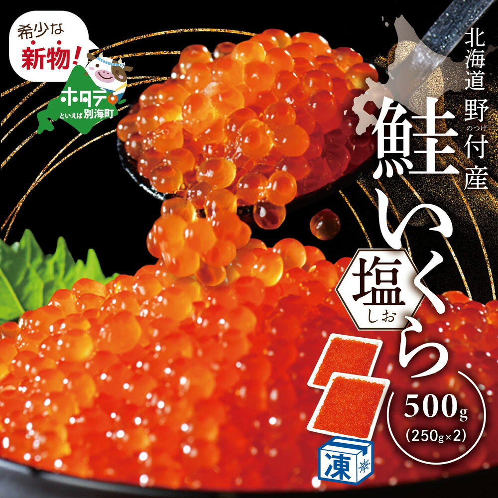 【ふるさと納税】高評価★5.00 希少 塩いくら ！本場 北海道 産 塩イクラ 500g（ ふるさと納税 いくら ふるさと納税 イクラ 訳あり ふるさと納税 訳あり のおいしさ 塩漬け いくら塩漬け イクラ塩漬け 鮭 鮭卵 国産 別海町 ふるさと納税 塩いくら ふるさと イクラ 小分け ）