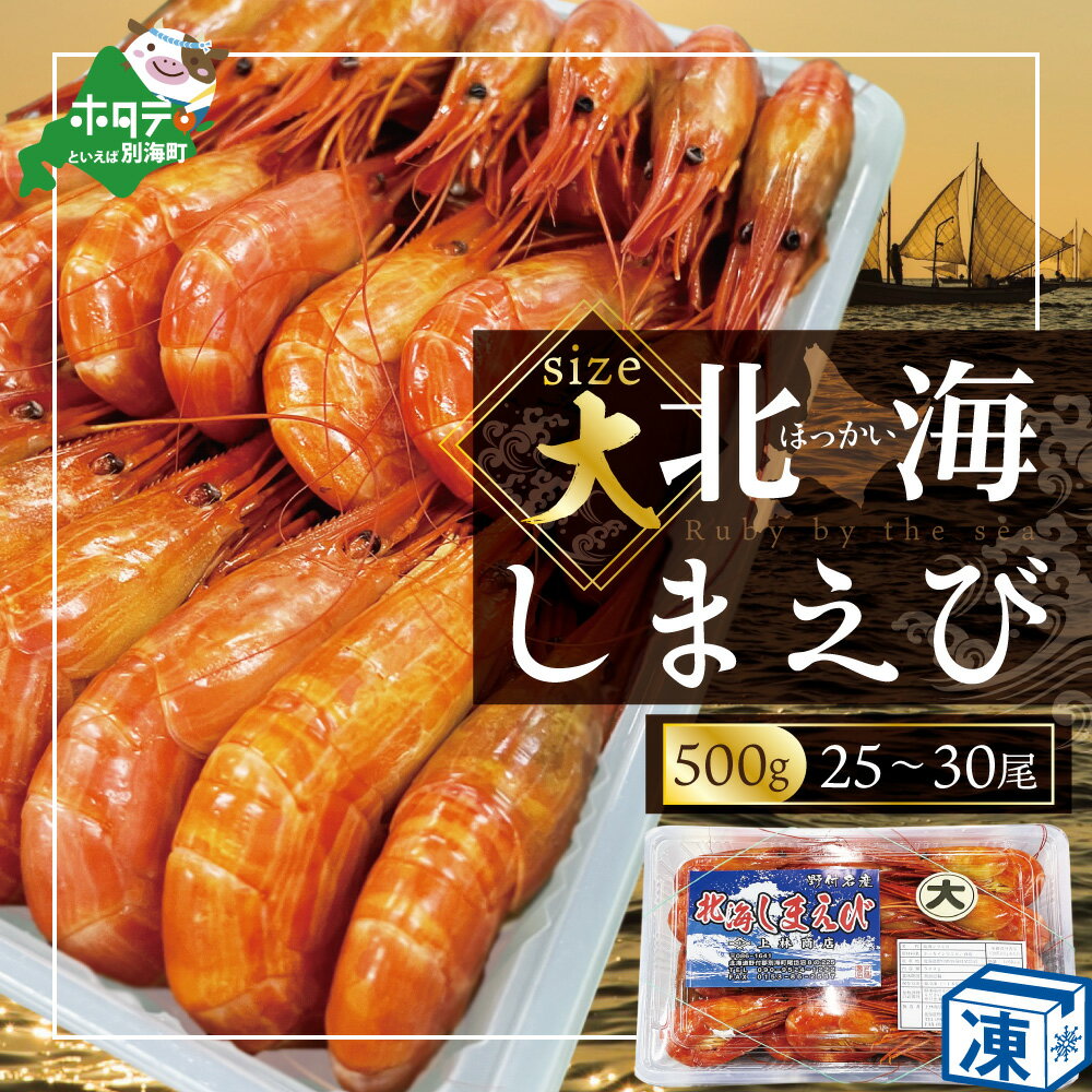 【ふるさと納税】高評価★4.5 野付産 北海 シマエビ 大サイズ（25～30尾前後）( ふるさと納税 えび ふるさと納税 エビ ふるさと納税 海老 ふるさと納税 北海しまえび ふるさと納税 北海シマエビ ふるさと納税 シマエビ ふるさと えび ふるさと エビ ふるさと納税 訳あり )のサムネイル