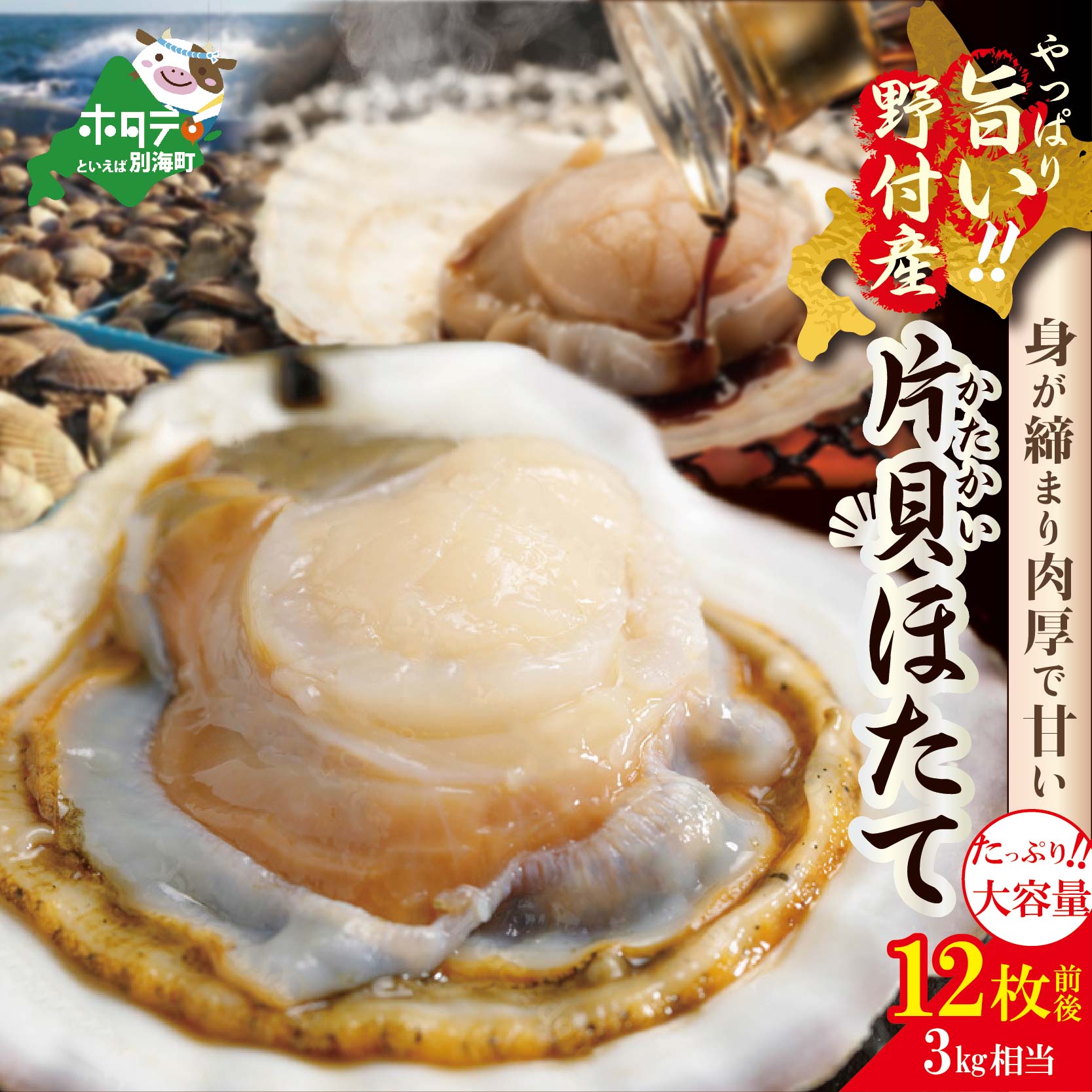 【ふるさと納税】バーベキュー に最適 解凍してそのまま焼けます 野付産 片貝 ホタテ 3kg 相当 12枚 前後 ( ふるさと納税 帆立 北海道 ふるさと納税 ほたて 殻付き ふるさと納税 貝付き 冷凍 刺身 刺身用 天然 北海道産 訳あり )のサムネイル