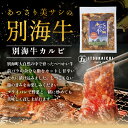 【ふるさと納税】【 肉 定期便 8ヶ月 毎月 定期 】別海牛 味付け カルビ 400g かみこみ 豚味噌漬け 800g 計1.2kg セット × 8ヵ月【有限会社五日市】 （ ふるさと納税 肉 定期便 ふるさと納税 牛肉 定期便 ふるさと納税 豚肉 定期便 ふるさと納税 焼肉 定期便 8回 8 ） 2