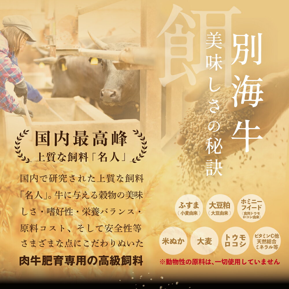 【ふるさと納税】【 肉 定期便 11ヶ月 毎月 定期 】別海牛 味付け カルビ 400g かみこみ 豚味噌漬け 800g 計1.2kg セット × 11ヵ月【有限会社五日市】 （ ふるさと納税 肉 定期便 ふるさと納税 牛肉 定期便 ふるさと納税 豚肉 定期便 ふるさと納税 焼肉 定期便 11回 11 ）