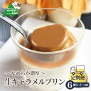【ふるさと納税】【 年3回 プリ...