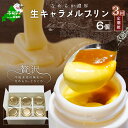 【ふるさと納税】高評価★5.00【 年3回 プリン 定期便 3ヶ月 連続 定期 】絶品 濃厚 ! 生キャラメル プリン 6個入 × 3ヵ月【全 3回 】( ふるさと納税 プリン 定期便 ぷりん 定期便 3ケ月 3カ月 3か月 北海道 牛乳 スイーツ ランキング 人気 ふるさと 訳あり )