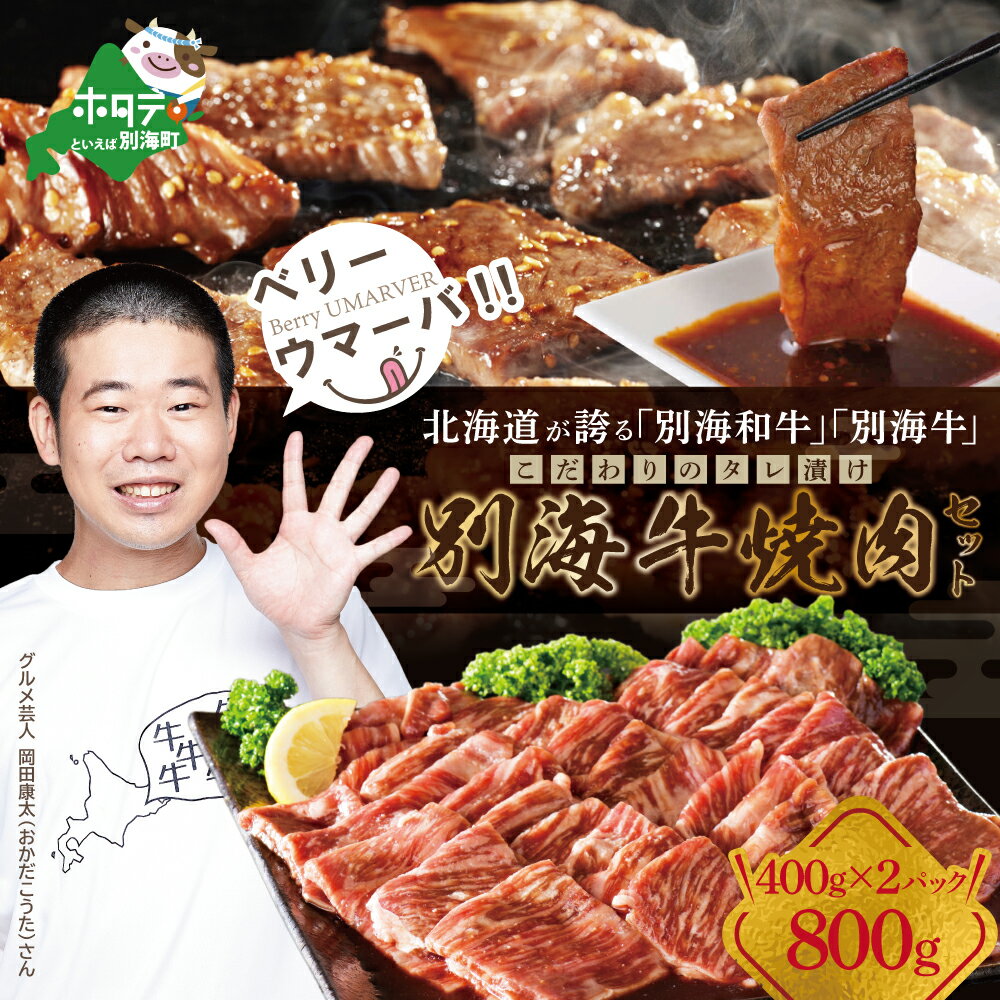 [黒毛和牛]別海和牛 焼肉用 タレ漬け 味付焼肉 800g ( 400g × 2P ) 特製 焼肉 用 つけだれつき[北海道 別海町産](ふるさと納税 訳あり ふるさと納税 肉 赤身 ふるさと納税 牛肉 赤身 ふるさと納税 焼肉 ふるさと納税 焼き肉 送料無料)