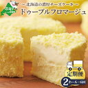 【ふるさと納税】【定期便】チーズケーキ 【 フラノデリス ドゥーブルフロマージュ 】 ホール ( 4号 × 2個 ) × 6ヵ月【全6回】 ( 酪農日本一・ 北...