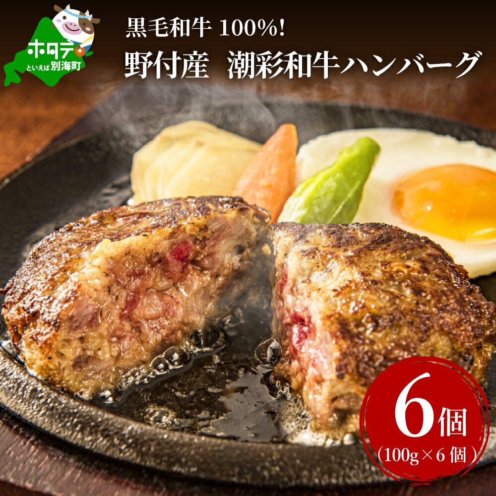 【ふるさと納税】黒毛和牛 ハンバーグ 【 北海道 別海町 潮彩 和牛 】 牛肉100% ハンバーグ 100g×6個 （ ふるさと納税 ハンバーグ 訳あり ふるさと納税 はんばーぐ ふるさと納税 牛肉 ハンバーグ 牛 牛100% 牛はんばーぐ 惣菜 おそうざい 冷凍 肉 ハンバーグ 黒毛 ）