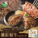 【ふるさと納税】黒毛和牛 牛肉100% ハンバーグ 100g×5個 （ ふるさと納税 訳あり 冷凍ハンバーグ ふるさと納税 ハンバーグ 訳あり ふるさと納税 はんばーぐ ふるさと納税 牛肉 ハンバーグ 牛 牛100% 牛はんばーぐ 惣菜 おそうざい 冷凍 肉 ハンバーグ 黒毛 ）