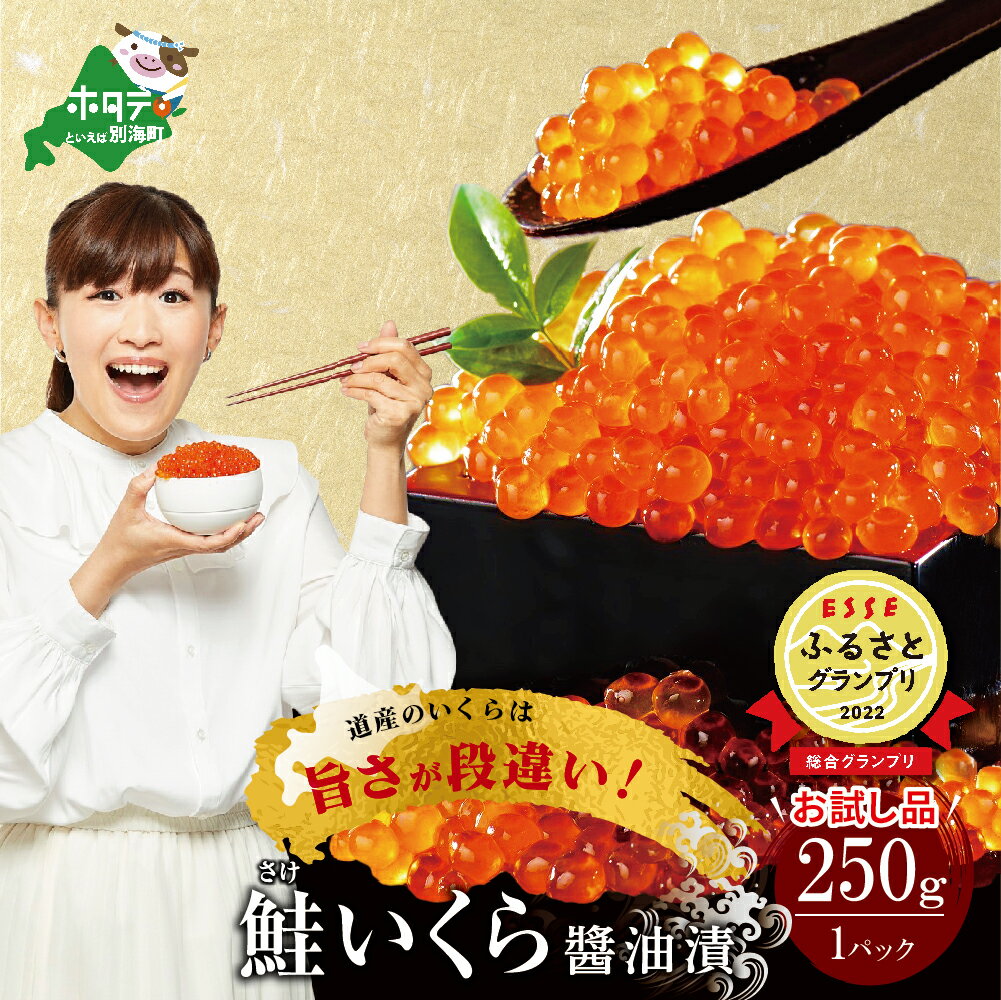 【ふるさと納税】【グランプリ獲得！】北海道産 鮭 イクラ 醤油漬け 250g【発送時期が選べる】【 ふるさと納税 いくら 北海道 ふるさと納税 イクラ ふるさと納税 ランキング ふるさと納税 いくら ランキング ふるさと イクラ 訳あり 鮭卵 醤油 海鮮 小分け 】のサムネイル