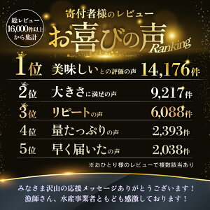 【ふるさと納税】【禁輸に負けない！】総合1位 ホタテ 【訳あり】選べる3サイズ 1kg , 2kg【発送時期が選べる】ふるさと納税 ほたて 訳あり 帆立 ランキング 海鮮 ふるさと納税 帆立 北海道 別海町 ふるさと納税 人気 北海道産 ホタテ貝柱 ふるさと 緊急支援品 春 旬