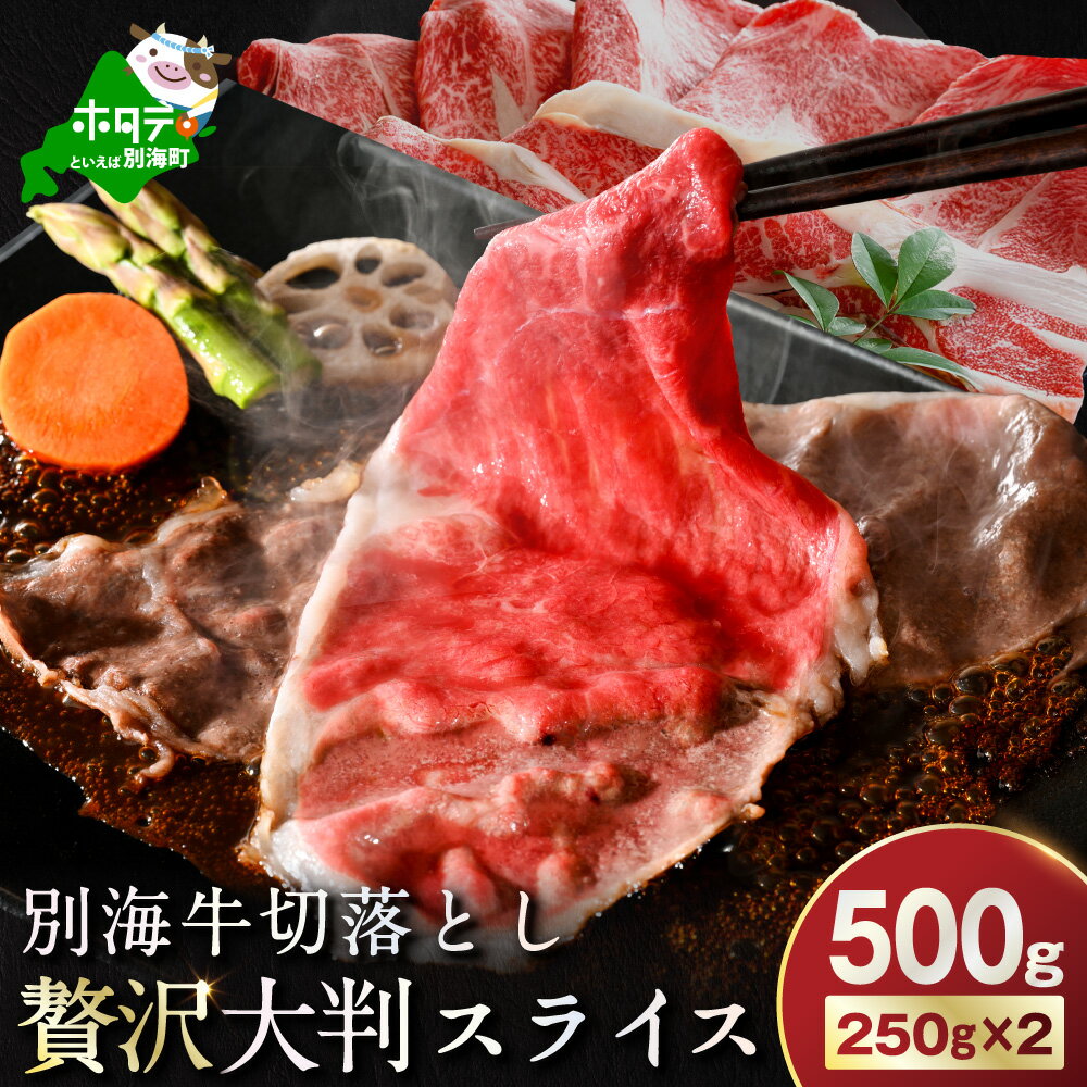 別海牛 切り落とし 500g(250g×2P)( ふるさと納税 牛肉 切り落とし ふるさと納税 牛肉 赤身 ふるさと納税 肉 牛 しゃぶしゃぶ すき焼き モモ ウデ 焼き肉 焼肉 小分け 牛肉 スライス ふるさと 人気 ふるさと納税 訳あり 国産 北海道 別海町 )
