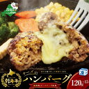 【ふるさと納税】チーズがとろける!別海チーズインハンバーグ(120g×15個)【別海牛100%と別海町ゴーダチーズ】【be046-1219】( ふるさと納税 ハンバーグ 牛ハンバーグ 牛100% 牛肉100% 牛肉 牛 肉 お肉 おにく にく チーズ ちーず )