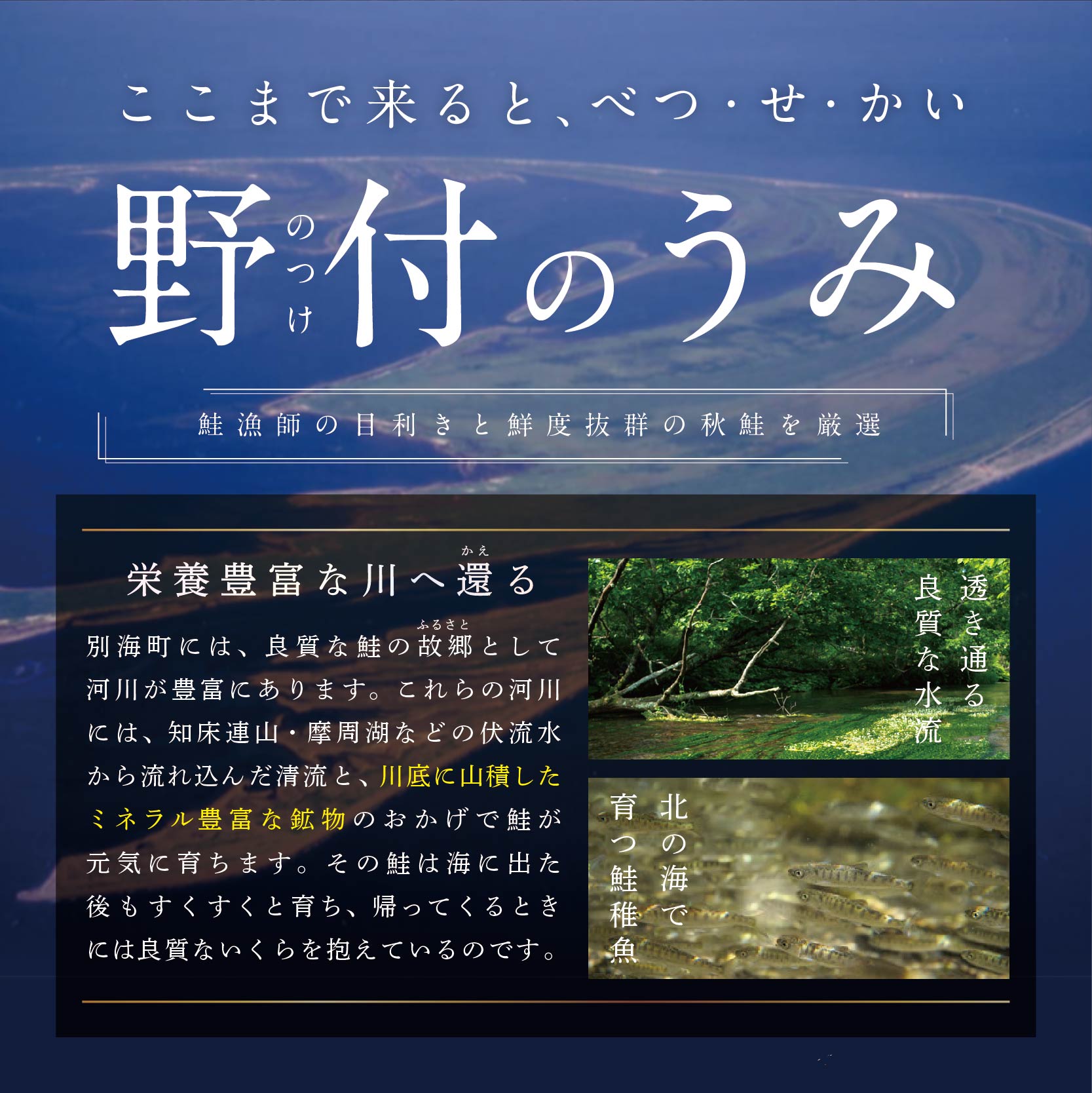 【ふるさと納税】【 年6回 塩 いくら 定期便 隔月 】いくら イクラ 塩イクラ！北海道 産 塩いくら 1kg × 6回 産直 計 6kg （ ふるさと納税 いくら 塩漬け ふるさと納税 イクラ 塩漬け 北海道鮭 鮭 鮭卵 国産 定期 訳あり しお 定期 6 6ヶ月 6ケ月 6ヵ月 6カ月 6か月 ）