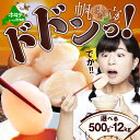 22位! 口コミ数「38件」評価「4.92」【緊急支援品】【禁輸に負けない！】高評価★4.92 北海道 野付産 漁協からお届け 冷凍ホタテ 貝柱 ジャンボホタテ500g または 1kg･･･ 