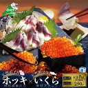 【ふるさと納税】天然 鮭いくら醤油漬け 250g と 天然ボイルホッキ貝 大玉1kg（14粒前後） 野付漁協 【be018-0129】 …