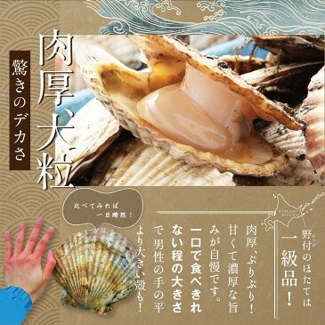 【ふるさと納税】【毎月定期便】北海道 野付産 漁協直送 冷凍ホタテ 貝柱 ジャンボホタテ1kg×11ヶ月