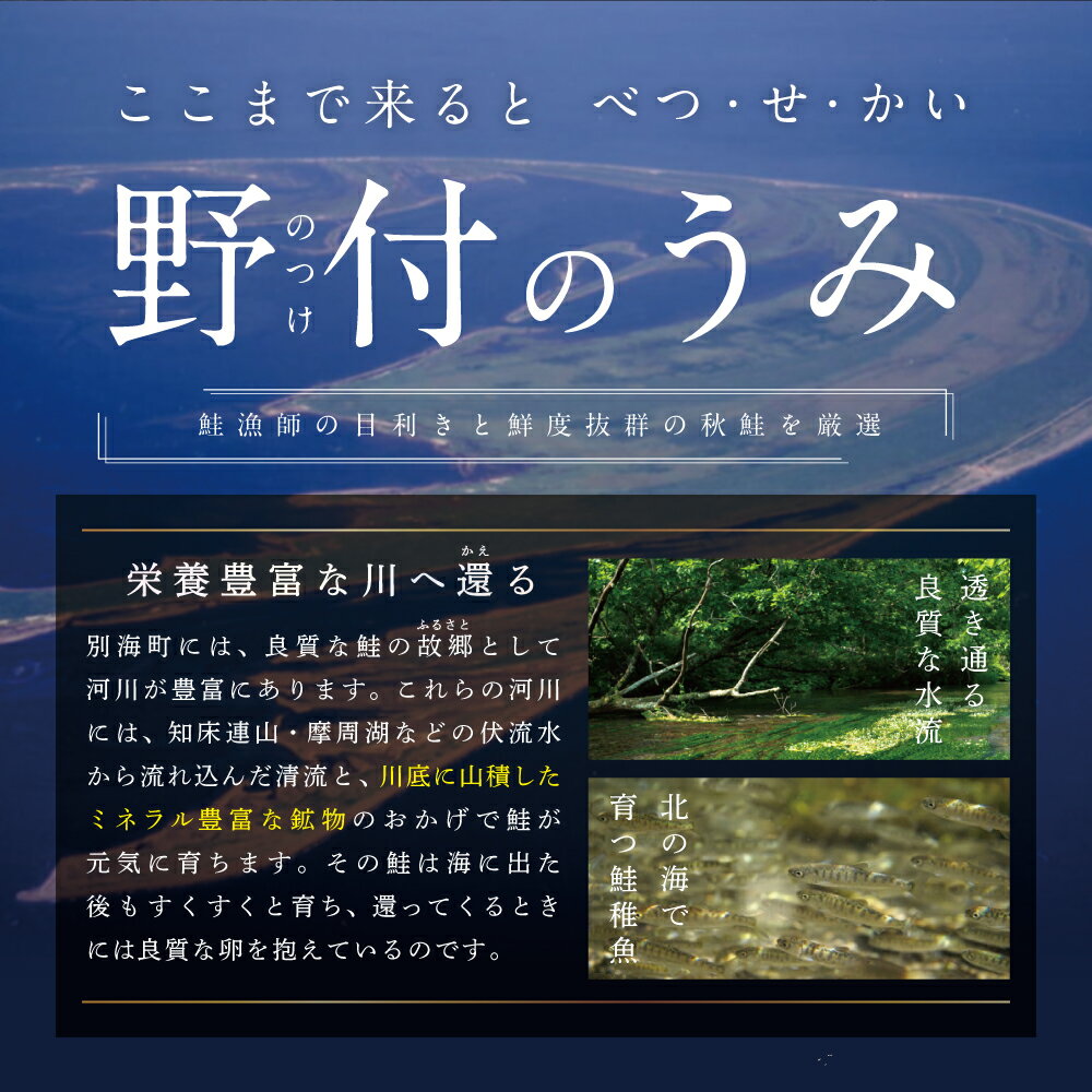 【ふるさと納税】【 年10回 鮭 定期便 10ヶ月 連続 】秋鮭 の切り身 24切 ( 小分け 3切入×8P) × 全 10回 ( ふるさと納税 さけ ふるさと納税 鮭 切り身 ふるさと納税 サケ ふるさと納税 天然 鮭 ふるさと納税 訳あり 鮭 送料無料 )