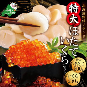 【ふるさと納税】贅沢 海の幸!漁協 直送!本場「 北海道 」 ホタテ 500g & いくら 醤油漬け 250g 海鮮 セット ( ほたて 帆立 ほたて貝柱 帆立貝柱 魚介類 寿司 魚介 冷凍 刺身 刺身用 貝柱 天然 生食 ふるさと納税 海鮮丼 大 鮭 小分け 鮭卵 20000円 20,000円 2万円 20000 )