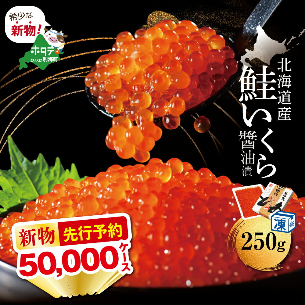 ふるさと納税 定期便 全3回 北海道といえば 海鮮丼の具 60g×4個セット 北海道千歳市 買い誠実 ふるさと納税 定期便 全3回 北海道といえば 海鮮丼の具 60g×4個セット 北海道千歳市 買い誠実