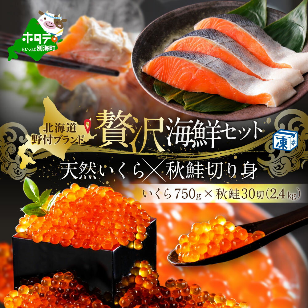 【ふるさと納税】秋鮭 切身 30切 と いくら醤油漬け 750g（ 北海道 野付 別海町 秋鮭 サケ さけ 切身 きり身 いくら イクラ いくら醤油漬け ふるさと納税 ）のサムネイル