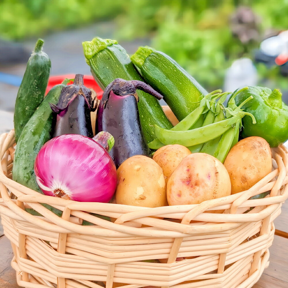 【ふるさと納税】無農薬 有機肥料 育ち 採れたて 野菜セット 北海道産 ジャガイモ 3品種以上食べ比べ 【全4種 10品種以上セット】（ ふるさと納税 野菜 詰め合わせ ふるさと納税 野菜セット 訳あり やさい 無農薬 北海道 別海町 インカのめざめ きたあかり メークイン ）のサムネイル