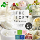 【ふるさと納税】【隔月3回定期便】【THE ICE】5種食べ比べ 5個セット【CJB030206】