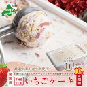 【ふるさと納税】【毎月定期便】【THE ICE】業務用1リットル いちごケーキ ×10ヵ月定期便 （ちえのわ事業協同組合）