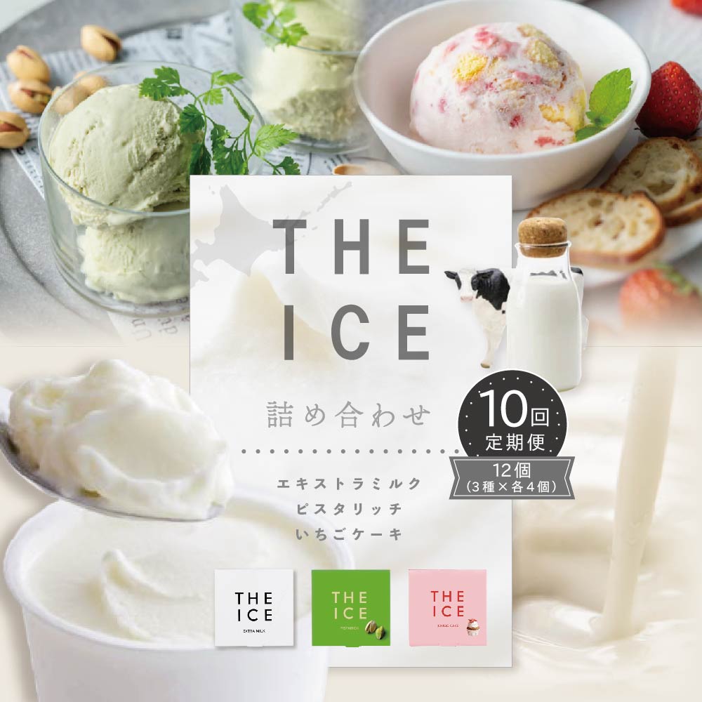 【ふるさと納税】【毎月定期便】【THE ICE】3種詰合せ12個セット×10ヵ月定期便 【be003-1073-100-10】（ちえのわ事業協同組合）