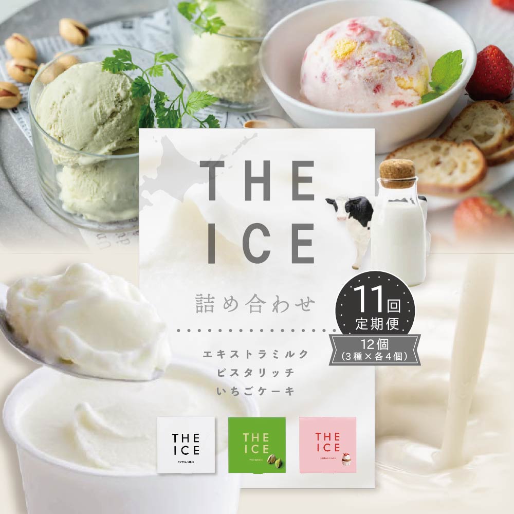 【ふるさと納税】【毎月定期便】【THE ICE】3種詰合せ12個セット×11ヵ月定期便 【be003-1073-100-11】（ちえのわ事業協同組合）