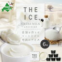 【ふるさと納税】【THE ICE】高評価★5.0 エキストラミルク6個 （ちえのわ事業協同組合）