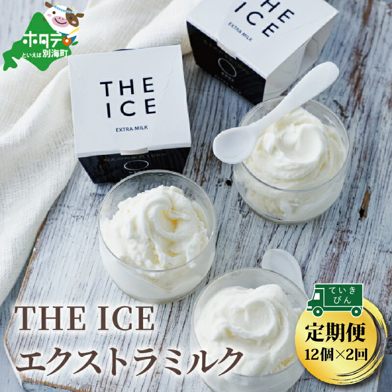 【ふるさと納税】【毎月定期便】【THE ICE】エキストラミルク12個×2ヵ月定期便（ちえのわ事業協同組合）