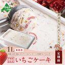 【ふるさと納税】【毎月定期便】【THE ICE】業務用1リットル いちごケーキ ×7ヵ月定期便 (J FARM AMUSE 株式会社)