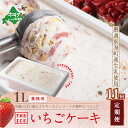 【ふるさと納税】【毎月定期便】【THE ICE】業務用1リットル いちごケーキ ×11ヵ月定期便 (J FARM AMUSE 株式会社)