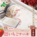 【ふるさと納税】【隔月定期便】【THE ICE】業務用1リットル いちごケーキ ×5回定期便 (J FARM AMUSE 株式会社)