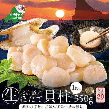 【ふるさと納税】毎日20セット限定！北海道産 生 ほたて 貝柱 350g × 1パック 生玉ホタテ ( ふるさと納税 ほたて 北海道産 ふるさと納税 帆立 生 ホタテ 貝柱 生玉 ホタテ 帆立 帆立貝柱 お刺身 刺身 刺身用 海鮮 訳あり 10000円 10000 10,000円 10,000 1万円 1万 冷蔵 )